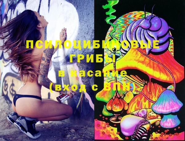 тгк Наволоки