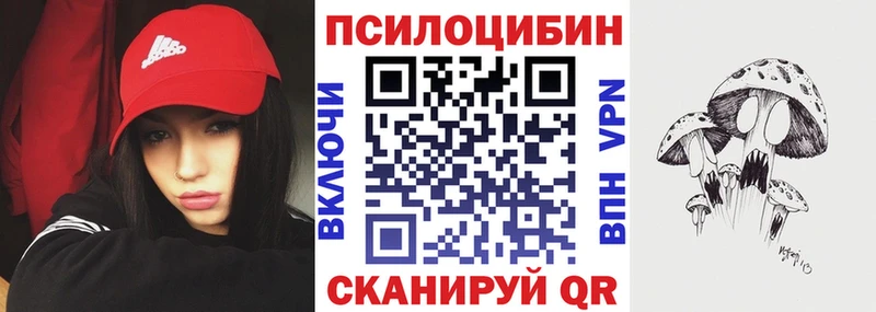 Псилоцибиновые грибы Cubensis  купить закладку  Старая Русса 