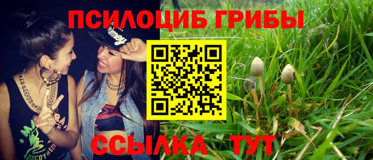Галлюциногенные грибы Magic Shrooms Старая Русса
