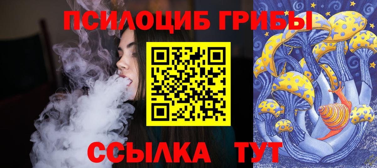 где можно купить наркотик  Галлюциногенные грибы Magic Shrooms  Старая Русса  Вход с VPN  Псилоцибиновые грибы Cubensis 