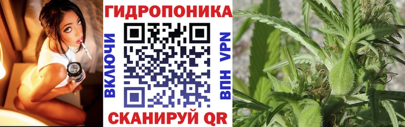 Шишки марихуана ГИДРОПОН Старая Русса